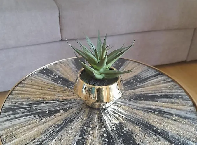 Barium - Zanardelli *